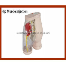 High Level Hip Muscle Injection Comparison Simulator